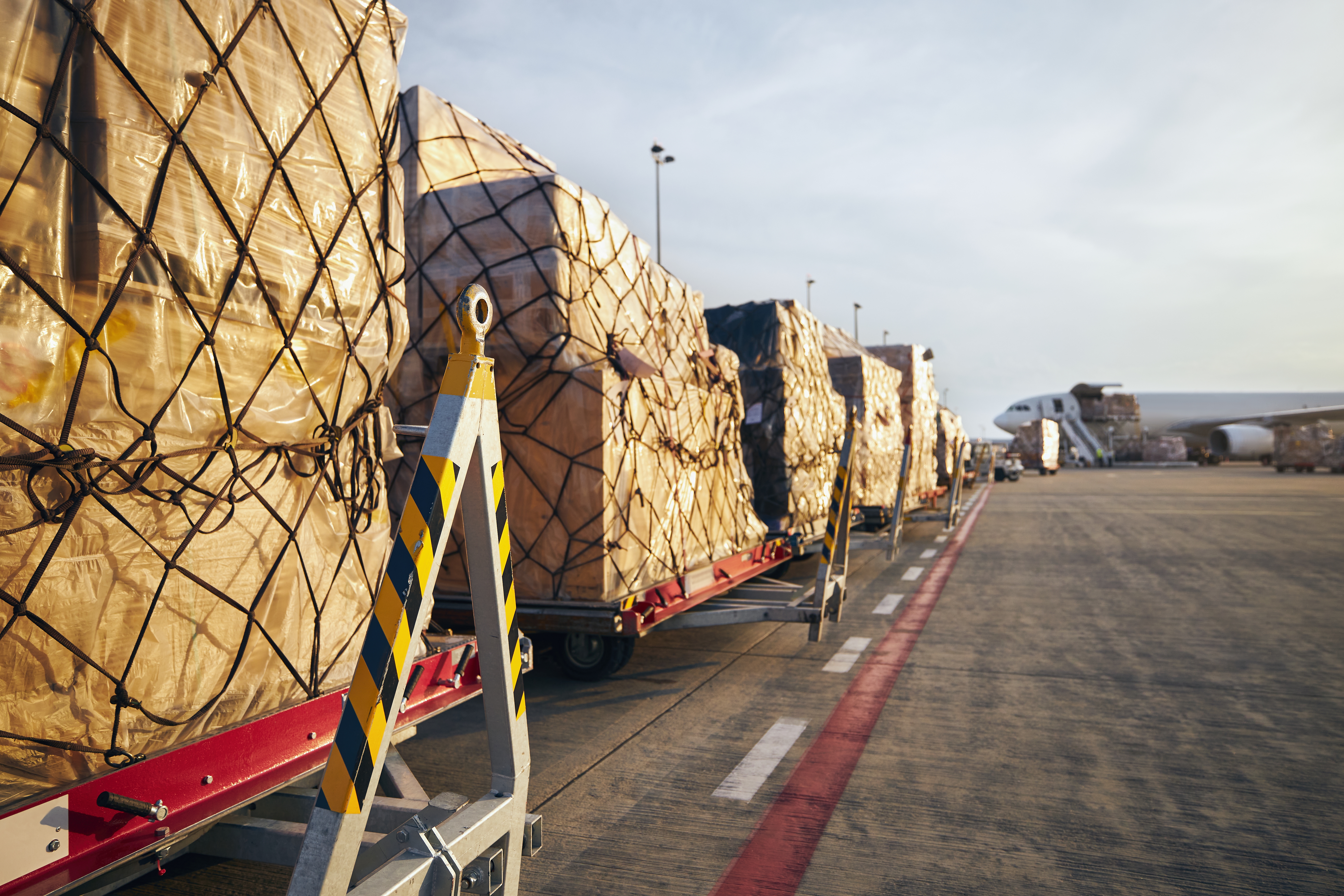 Loading of cargo airplane Agente carga internacional